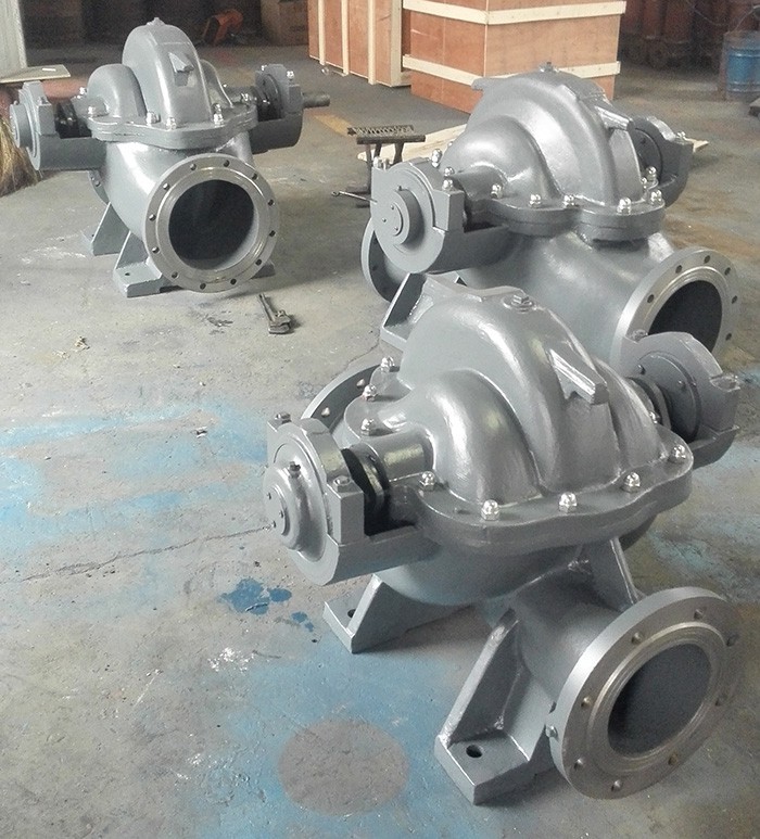 绿巨人视频黄APP在线观看