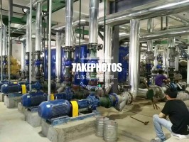 绿巨人视频官网下载页使用现场