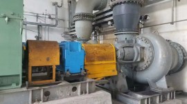 绿巨人视频官网下载页使用现场